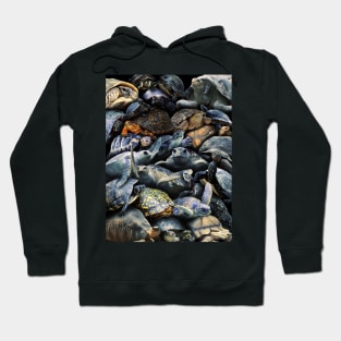 Turtles Hoodie